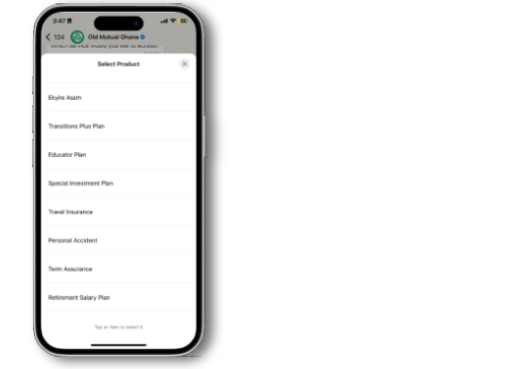 Display of whatsapp bot on phone